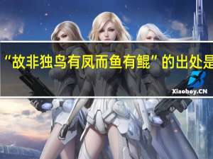 “故非独鸟有凤而鱼有鲲”的出处是哪里