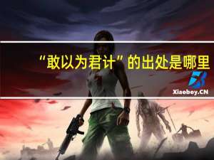 “敢以为君计”的出处是哪里