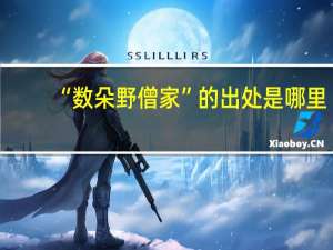 “数朵野僧家”的出处是哪里