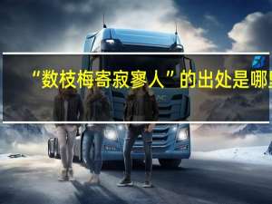 “数枝梅寄寂寥人”的出处是哪里