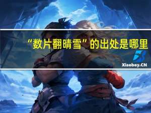 “数片翻晴雪”的出处是哪里