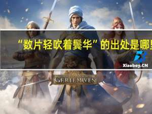 “数片轻吹着鬓华”的出处是哪里
