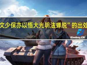 “文少保亦以悟大光明法蝉脱”的出处是哪里