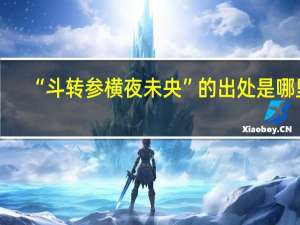 “斗转参横夜未央”的出处是哪里
