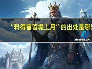“料得曾留堤上月”的出处是哪里
