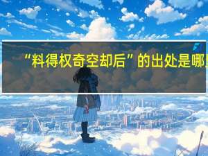 “料得权奇空却后”的出处是哪里