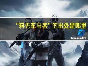 “料无车马客”的出处是哪里