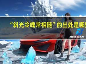 “斜光冷魄常相随”的出处是哪里