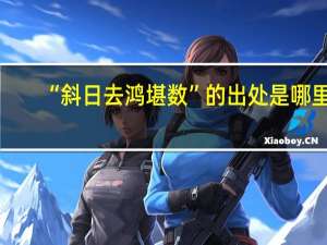 “斜日去鸿堪数”的出处是哪里