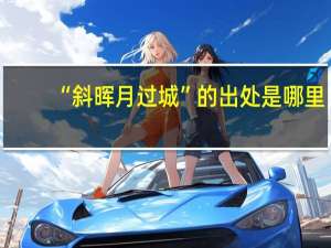 “斜晖月过城”的出处是哪里