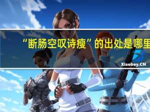 “断肠空叹诗瘦”的出处是哪里