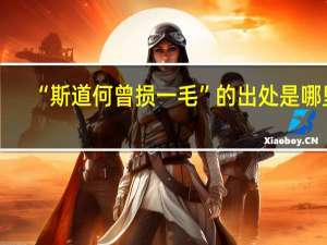 “斯道何曾损一毛”的出处是哪里