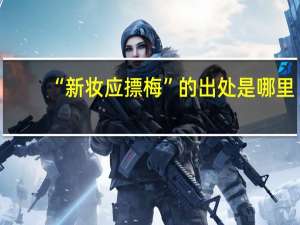 “新妆应摽梅”的出处是哪里