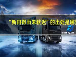 “新田得雨未秋迟”的出处是哪里
