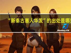 “新秦古塞人华发”的出处是哪里