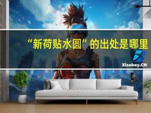 “新荷贴水圆”的出处是哪里