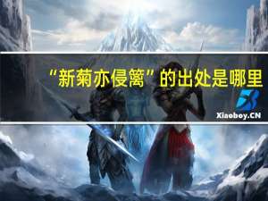 “新菊亦侵篱”的出处是哪里