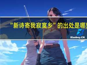 “新诗寄我寂寞乡”的出处是哪里