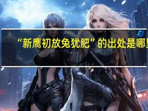 “新鹰初放兔犹肥”的出处是哪里