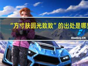 “方寸肤圆光致致”的出处是哪里