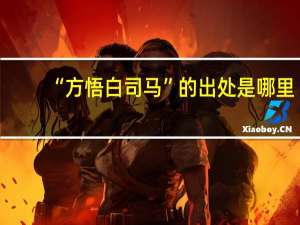 “方悟白司马”的出处是哪里