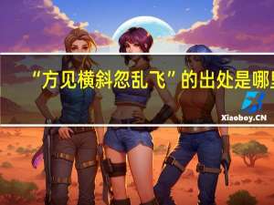 “方见横斜忽乱飞”的出处是哪里