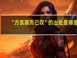 “方言哀而已叹”的出处是哪里