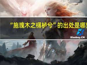 “施瑰木之欂栌兮”的出处是哪里