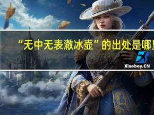 “无中无表澈冰壶”的出处是哪里
