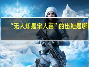 “无人知是宋人苗”的出处是哪里