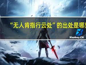 “无人肯指行云处”的出处是哪里
