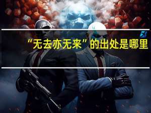 “无去亦无来”的出处是哪里
