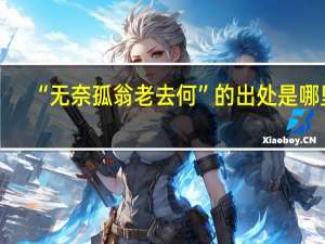 “无奈孤翁老去何”的出处是哪里