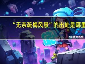 “无奈疏梅风景”的出处是哪里