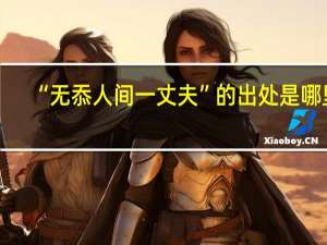 “无忝人间一丈夫”的出处是哪里