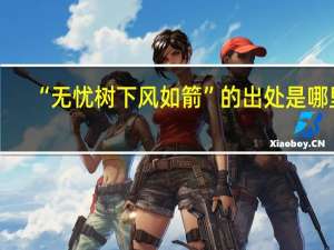 “无忧树下风如箭”的出处是哪里
