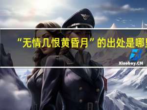 “无情几恨黄昏月”的出处是哪里