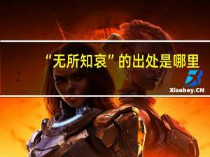 “无所知哀”的出处是哪里