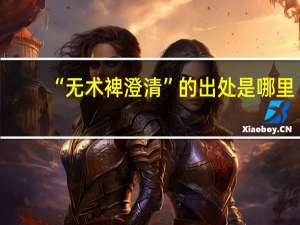 “无术裨澄清”的出处是哪里