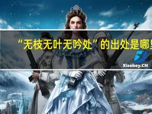 “无枝无叶无吟处”的出处是哪里