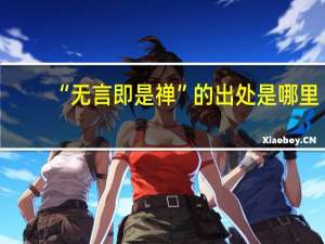 “无言即是禅”的出处是哪里