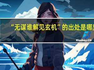 “无谋谁解见玄机”的出处是哪里