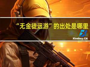 “无金徒远游”的出处是哪里