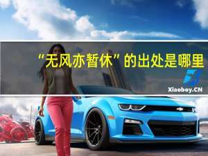 “无风亦暂休”的出处是哪里
