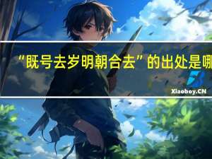 “既号去岁明朝合去”的出处是哪里