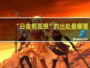 “日夜抱孤恨”的出处是哪里