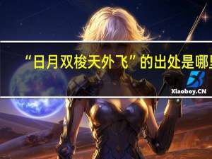 “日月双梭天外飞”的出处是哪里