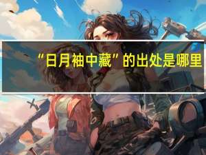 “日月袖中藏”的出处是哪里