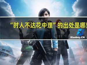 “时人不达花中理”的出处是哪里