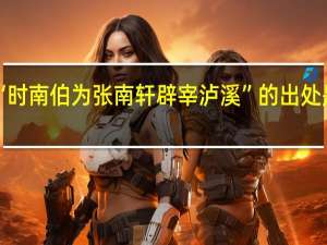 “时南伯为张南轩辟宰泸溪”的出处是哪里